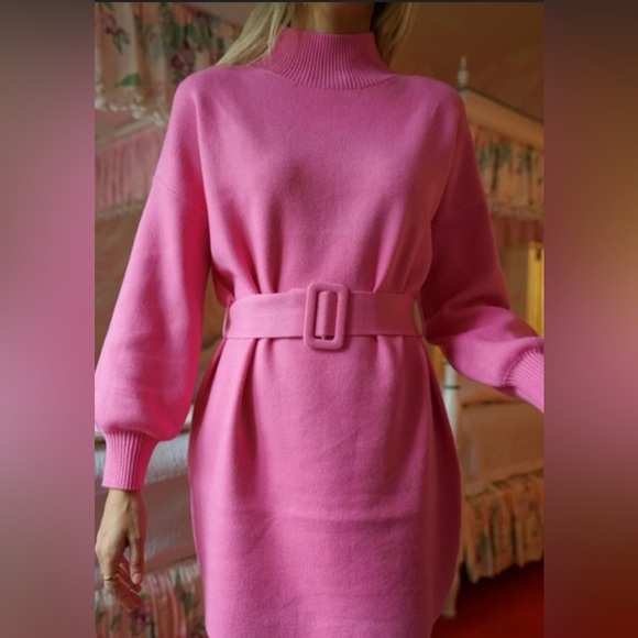 Elegant Pink Belted Mini Dress - Picture 2 of 4